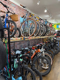 Half-Day Bike Rentals